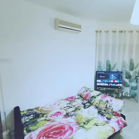 Apartment A Few Minutes From The Center And Colosseum *